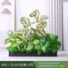Paisagismo com Plantas Verdes Simulação Floreira Divisória de Piso Arte Floral de Chão Paisagem de Plantas Combinação de Floreira Flor Artificial em Vaso Bonsai Decoração