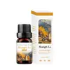 Comercio exterior transfronterizo aceite esencial de aromaterapia soluble en agua humidificador piedra expansora aceite esencial interior armario ambientador incienso fresco