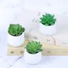 Mini simulación de flores carnosas en macetas, creativas, para bricolaje, para interiores, pequeñas decoraciones, flores de plástico, suministro de fabricantes ES1155-1