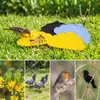 Juguete de Alimentación para Jaula de Pájaros Comedero Lento de Silicona para Pájaros para Agapornis, Comedero Lento Educativo para Desgastar el Pico, Tapete Anti-Derrames para Comida