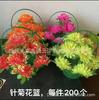 Cesta de Flores Sacrificiales, Cesta de Flores de Margarita, Cesta de Flores tipo Bandolera, Flores Artificiales para Visitar la Tumba, Flores Artificiales para el Festival Qingming, Flores Artificiales para Funerales al por Mayor
