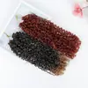 Peluca Africana para Mujer Rizos Pequeños Trenzas de Caja Crochet Cabello Yanky Twist Rizos Ramen Yankee Twist Crochet Cabello