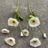 Fábrica de flores de simulação de casamento 4 papoula flor de papoula estilo pastoral sala de estar decoração de casa flor artificial atacado