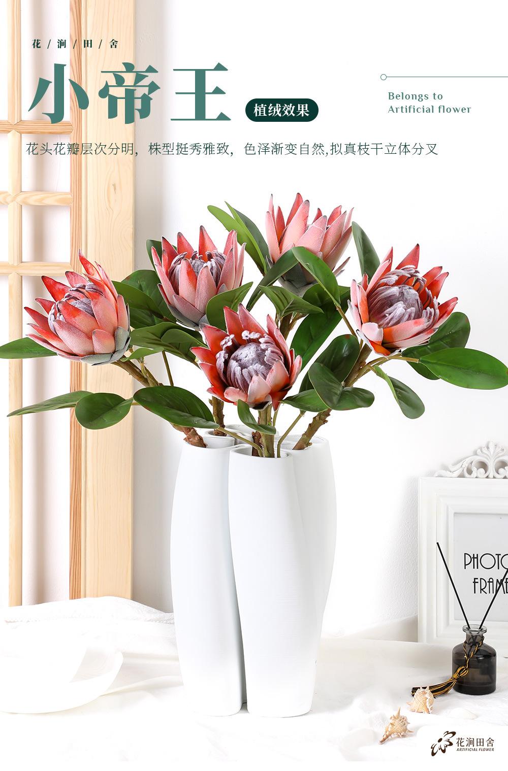 小帝王-8.13_01.jpg