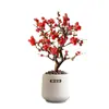 Wanfang Coroa da Longevidade Flor Begônia em Vaso Resistente ao Frio Seda de Jade Colorida Muda de Jardim Velho Tronco Flor de Bonsai Planta Anã
