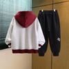 Conjunto de Primavera y Otoño para Niños 2026 Nuevo Conjunto de Sudadera con Capucha de Dibujos Animados para Niños, Conjunto Fresco Casual de Dos Piezas Estilo Coreano para Niños
