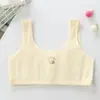 Ropa interior de desarrollo de algodón puro para niñas de verano, 8-15 años, sujetador para adolescentes, estudiante de primaria, estudiante de secundaria, estudiante de preparatoria, chaleco pequeño