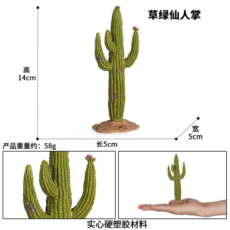 M108草绿仙人掌sku