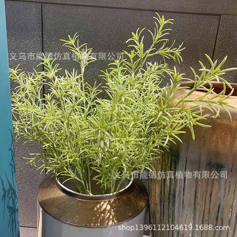 未标题-43