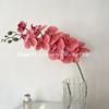 Buquê de Flor Única Artificial Phalaenopsis com Toque de Luxo, Flor Artificial 3D de Nove Cabeças Estilo Filme, Mesmo Modelo que no Xiaohongshu, Popular no Xiaohongshu