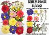 Bolsa de Rafia para Plantas Bolsa de Material para Estampado de Flores Secas Espécimen de Hoja de Flor Real Pintura DIY Marcapáginas Goteo de Pegamento Posavasos de Flores Secas