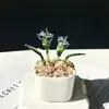 Enfeites de Vidro Zibo, Plantas Suculentas em Vasos, Plantas Verdes de Vidro, Presentes de Flores de Dezembro, Artesanato para Decoração de Escritório