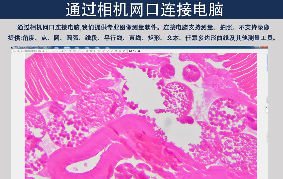 详情13-2.jpg