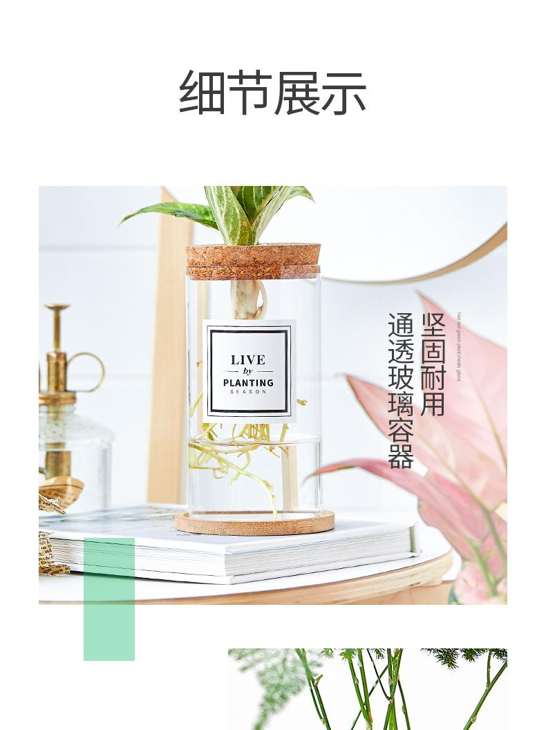 水培详情页_11.jpg