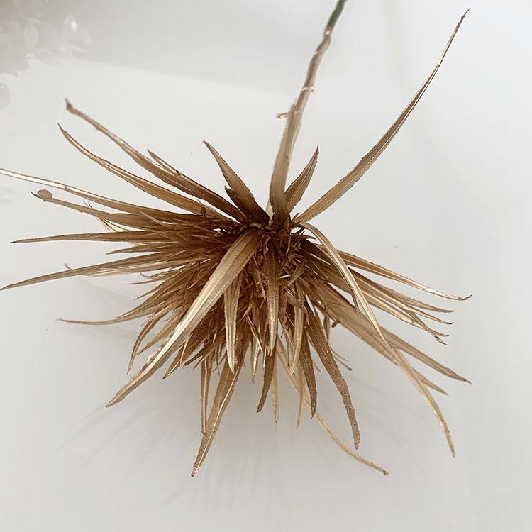 QQ图片20220505100635