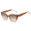 2022 nuevo estilo europeo y americano personalidad moda color jalea moda coreana comercio exterior transfronterizo gafas de sol hombres y mujeres gafas de sol al por mayor