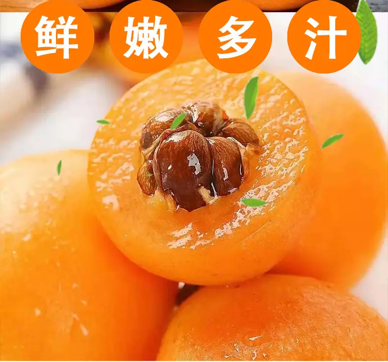 云南蒙自枇杷详情图