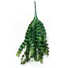 Helecho Colgante Estilo Bosque Techo Pared Verde Planta Decoración Enredadera Tipo Hilo Colgante de Helecho