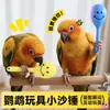 Brinquedo de papagaio pequeno martelo de areia para roer, alívio do tédio e redução do estresse, adequado para agapornis, conures sol pequenas e calopsitas, atacado