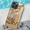 Aplicable a Apple 18PRO Funda de Vidrio Templado 17PROMAX Tres Gatitos Funda Protectora iPhone16 Mascota Linda 17E