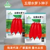 Coleção Atacado de Sementes de Rabanete Outono Shawo Açúcar Cristal Crocante Abacaxi O Ano Todo Fruta Cereja Rabanete Sementes de Cenoura