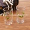Vaso de Vidrio de Borosilicato Alto Hogar Creativo Vaso de Vidrio de Flor de Lirio de Vientre Grande Alta Temperatura ins Taza Feng Shui Hogar