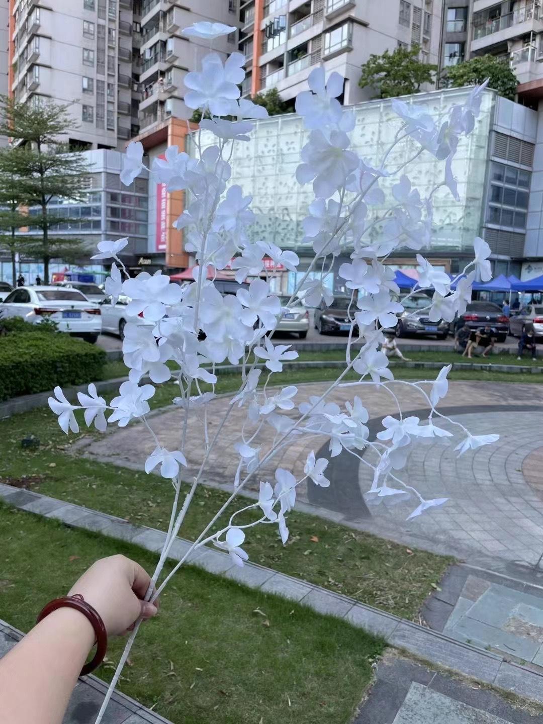 微信图片_20240728115801.jpg