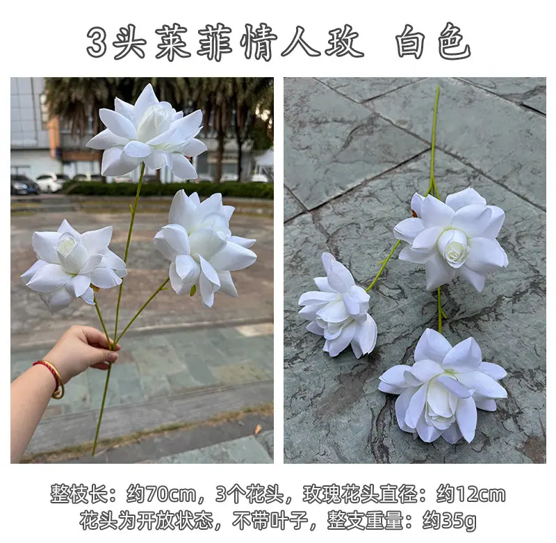 3头莱菲情人玫-详情_16.jpg