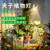 Luz de cultivo de espectro completo para plantas para uso en interiores, simulando la luz solar, con diseño de clip, regulable por USB y función de temporizador, adecuada para flores, suculentas y plantas verdes