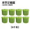 Cesta para plantar plantas de acuario, vaso para cultivar plantas, fijador de raíces de flores, herramienta de fijación de fondo de tierra para plantas acuáticas, decoración de paisajismo para el hogar