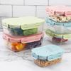 Lancheira fresca com fivela terno geladeira selada plástico alimentos frisper micro-ondas lancheira bento lancheira