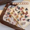 Nuevos Accesorios para Uñas con Lazo Estampado de Leopardo Populares Franceses Otoño e Invierno Carey Pajarita Diamante DIY Accesorios para Uñas Portátiles