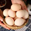 Huevos auténticos de gallinas camperas, huevos frescos del campo para mujeres en posparto y embarazadas, huevos naturales de gallinas camperas con Cordyceps, 50 piezas