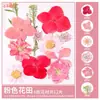 Paquete de Materiales DIY de Flores Secas Flores Prensadas Hechas a Mano Flores Conservadas Marcadores de Libros de Flores Prensadas Hojas de Árbol Real Plantas Pegatinas de Resina Maquillaje Facial