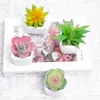 Oferta Especial do Fabricante: Plantas Suculentas Artificiais em Vasos de Cerâmica para Mesas de Escritório Internas, Pequenas Plantas Verdes em Vasos, Flores Artificiais, Plantas Suculentas em Vasos