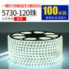 Tira de Luz LED Luz de Techo Luz de Tubo Caja de Luz Luz Lineal Barra de Luz 220V Luz Decorativa Exterior Control Remoto Ajuste de Color Regulable