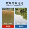 Purificación de Acuicultura, Ósmosis Inversa, Tratamiento de Agua Negra de Estanques, Desodorante para Estanques de Pesca, Clarificación de Turbidez por Lodo Negro