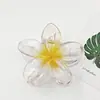 Europa e Estados Unidos transfronteiriços grampo de cabelo quente flor bauhinia flor ovo grande grampo de cabelo placa traseira clipe de cabelo clipe de tubarão atacado