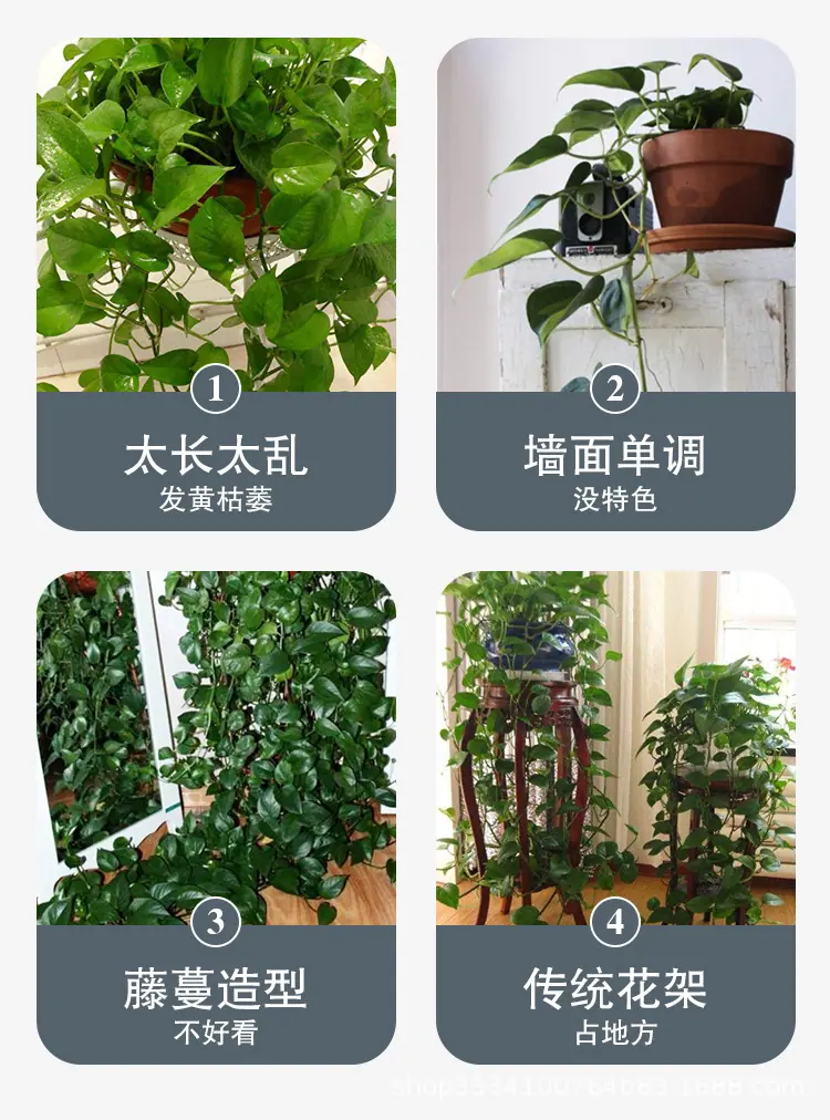 绿萝固定器1_03.jpg
