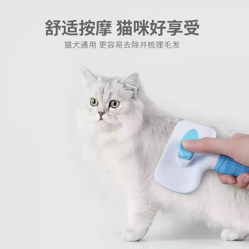 狗梳子