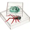 Caja de joyería para viaje plástico transparente caja pequeña caja de cuaderno cuadrada caja de almacenamiento pulsera empaque de estudiante suministro para niños