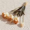 Tulipán Barroco pegamento suave manojo de 5 ramas flor artificial flor artificial accesorios para fotografía en casa Flor Boda Floral