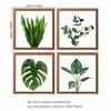 Adesivos de Parede com Imagens de Plantas Verdes Transfronteiriços 3D Tridimensional Planta em Vaso Corredor Corredor Parede Pintura Decorativa Autoadesiva Adesivos Autoadesivos