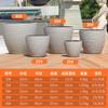 Vaso de Flor de Chão Minimalista Nórdico de Grande Diâmetro Imitação Cimento para Árvore do Dinheiro e Ave do Paraíso, Plástico Especial para Flor e Planta Verde