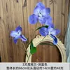 Flores artificiales de orquídea iris de tres puntas, accesorios para arreglos florales de boda, venta al por mayor para fotografía, decoración de estudio, accesorios para rodaje de proyectos