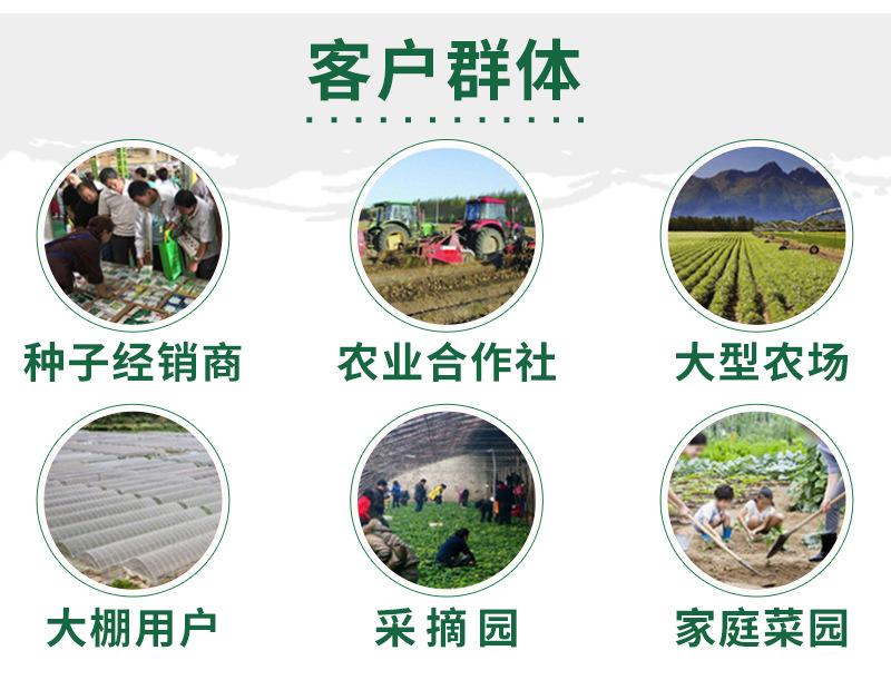 散装尖叶菠菜--详情页-800_09