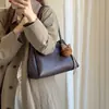 Bolso de mano simple de alta costura estilo coreano, bolso tipo cubo de nicho para el día a día, nuevo modelo 2026, bolso de hombro y axila elegante y versátil