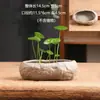 Pedra artificial não porosa cobre capim-dinheiro tamanho especial vaso de cerâmica para flores vaso para bonsai doméstico narciso recipiente para cultura em água liquidação atacado
