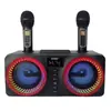 Caixa de Som Bluetooth para Desktop Sd218 Alto-falante Duplo Microfone Sem Fio Karaoke Doméstico Tudo-em-Um Cartão de Áudio Luz Colorida LED
