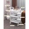 Carrito de Belleza Estantería de Almacenamiento Instrumento para el Cuidado de la Piel Carrito Pequeño Carrito de Enfermera Salón de Belleza Belleza